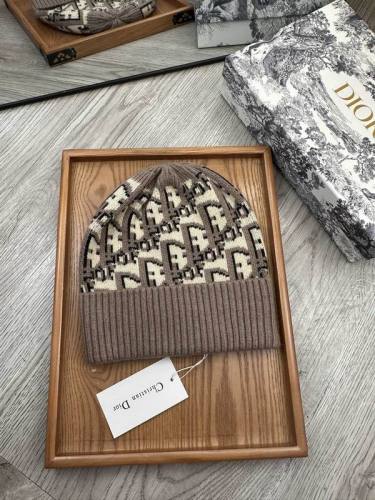 Dior Hats AAA-1356