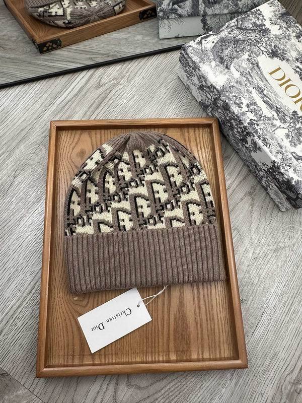 Dior Hats AAA-1356