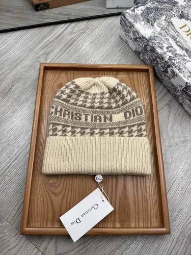 Dior Hats AAA-1351