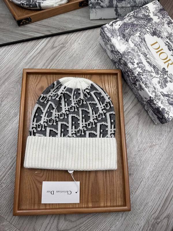 Dior Hats AAA-1358