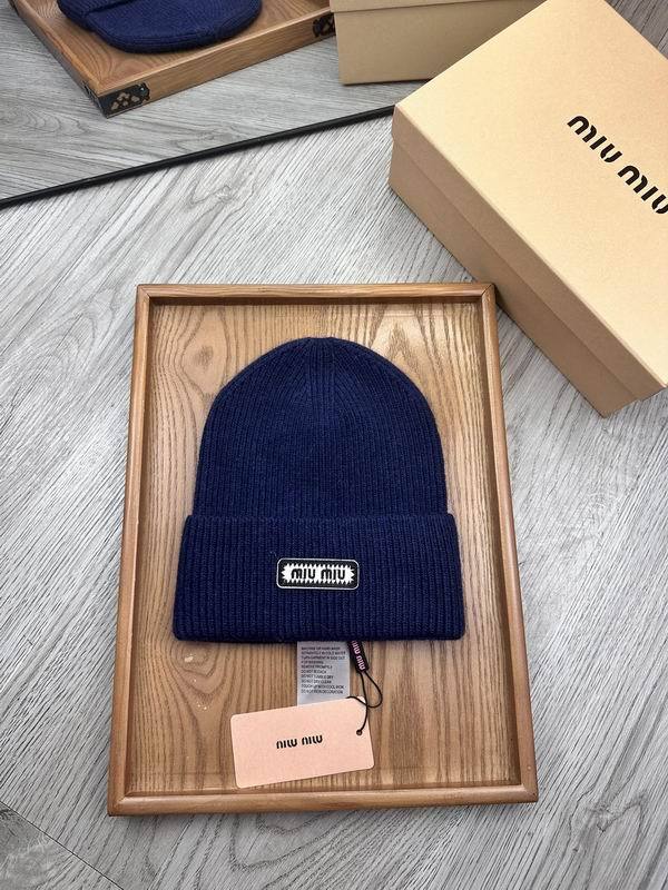 Miumiu Hats AAA-152
