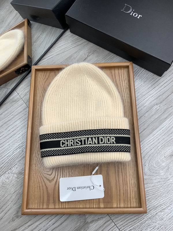 Dior Hats AAA-1321