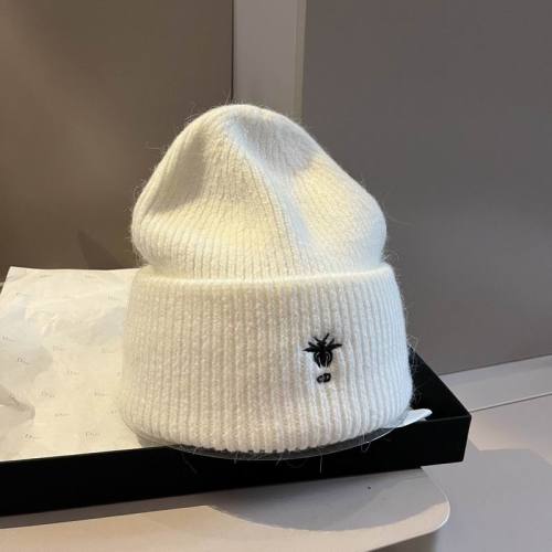Dior Hats AAA-1308