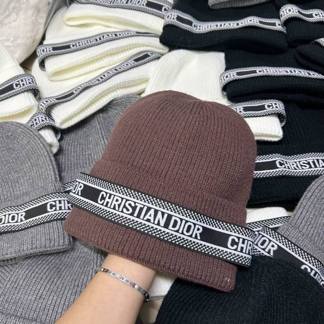 Dior Hats AAA-1336