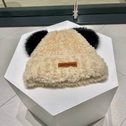 Dior Hats AAA-1411