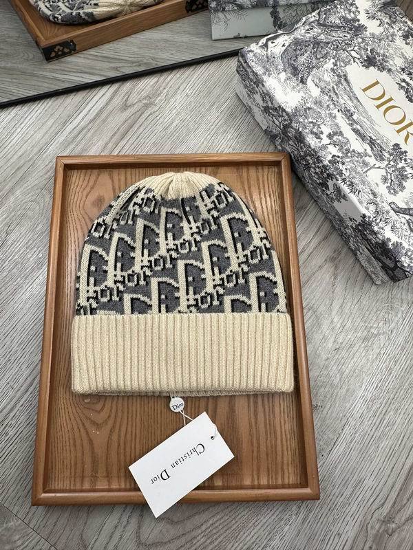 Dior Hats AAA-1355