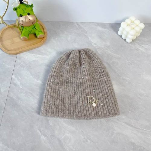 Dior Hats AAA-1324