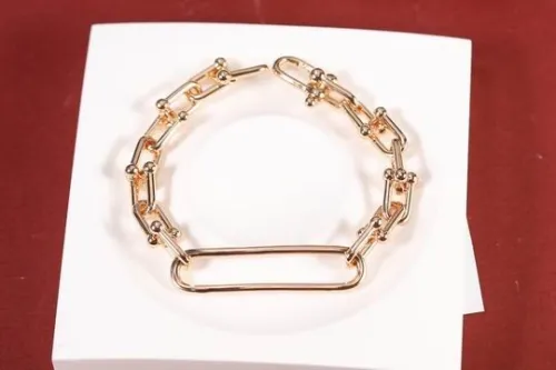 Tiffany Bracelet-246