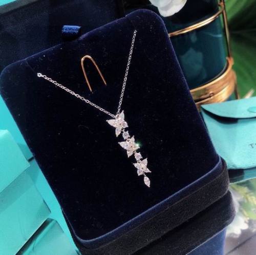 Tiffany Necklace-073