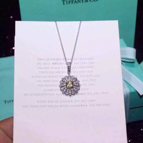 Tiffany Necklace-158