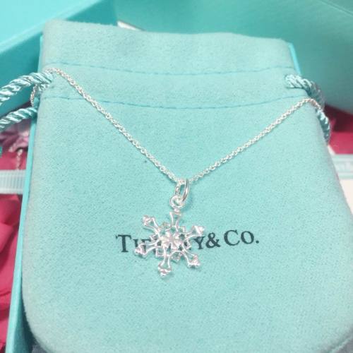 Tiffany Necklace-170