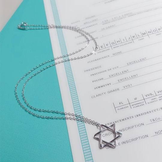 Tiffany Necklace-086