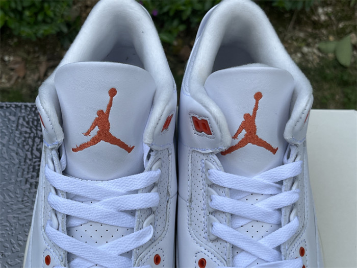 Super Max Perfect Jordan 3 shoes-028