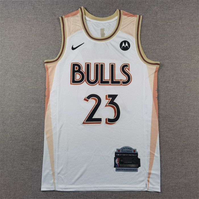 NBA Chicago Bulls-484