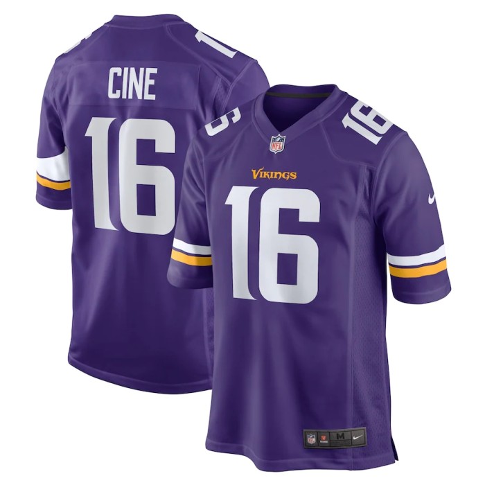 NFL Minnesota Vikings-259