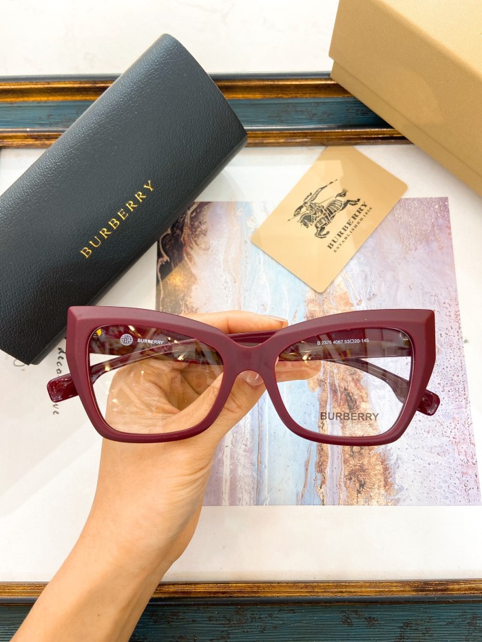 Burberry Sunglasses AAAA-2913
