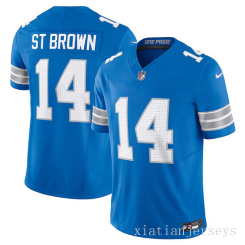 NFL Detroit Lions-220