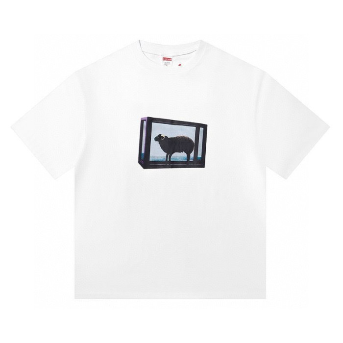 Supreme T-shirt-1846(S-XXL)