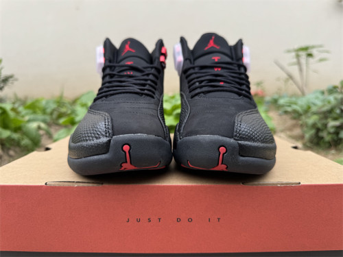 Authentic Air Jordan 12 “Bloodline”