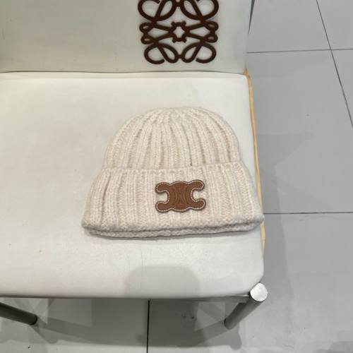 Celine Hats AAA-1455