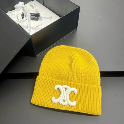 Celine Hats AAA-1521