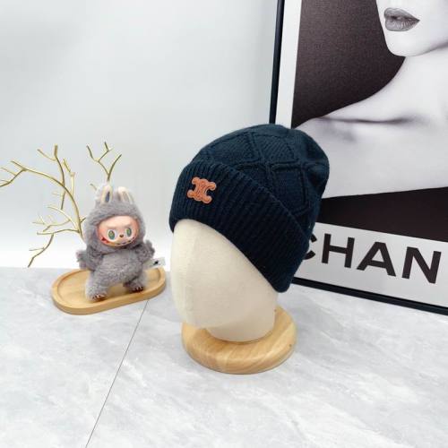 Celine Hats AAA-1578