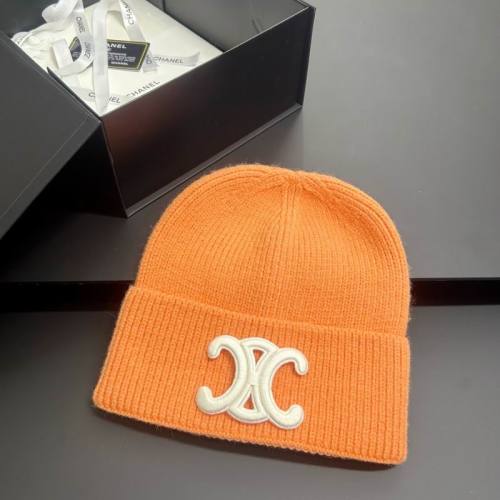 Celine Hats AAA-1522