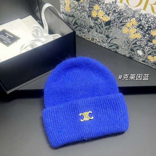 Celine Hats AAA-1619