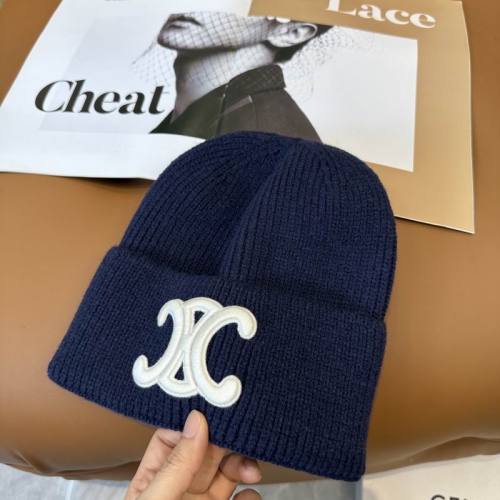 Celine Hats AAA-1691