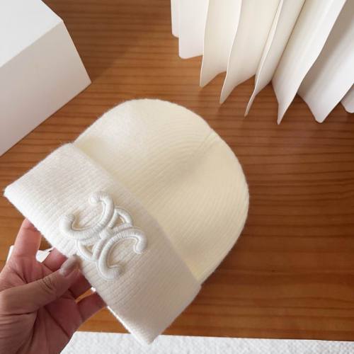 Celine Hats AAA-1590