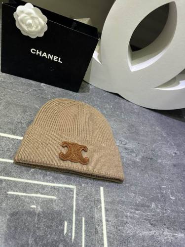 Celine Hats AAA-1610
