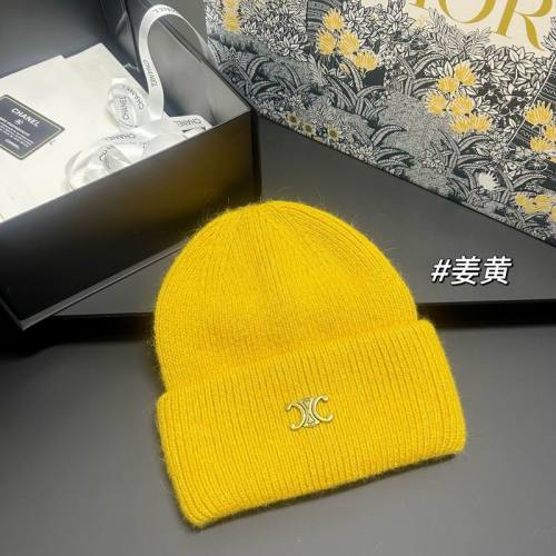 Celine Hats AAA-1630