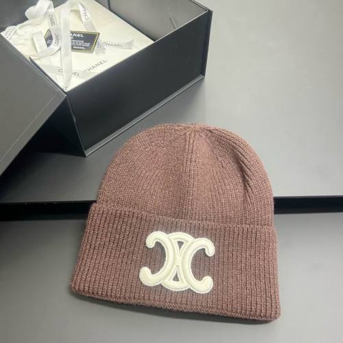 Celine Hats AAA-1525