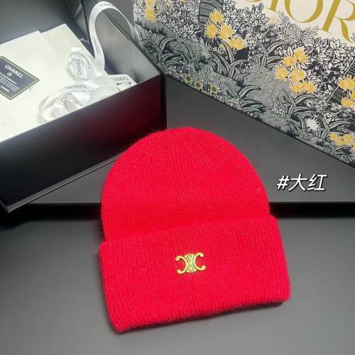 Celine Hats AAA-1614