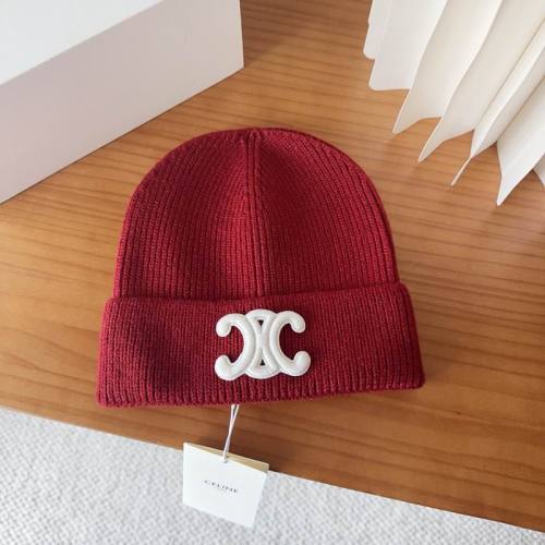 Celine Hats AAA-1586