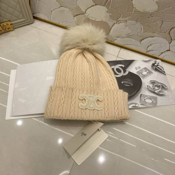 Celine Hats AAA-1458