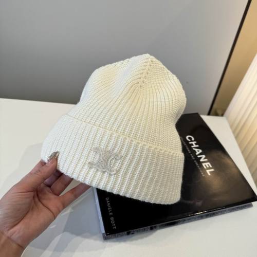Celine Hats AAA-1699