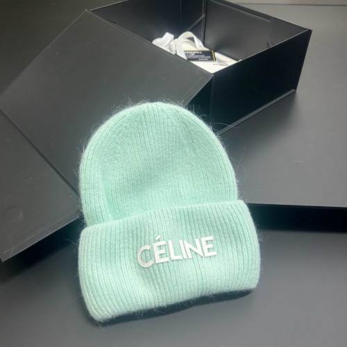 Celine Hats AAA-1648