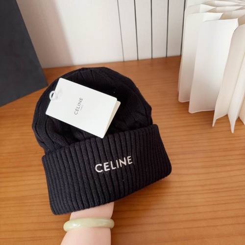 Celine Hats AAA-1647