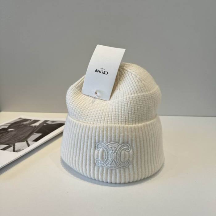Celine Hats AAA-1475