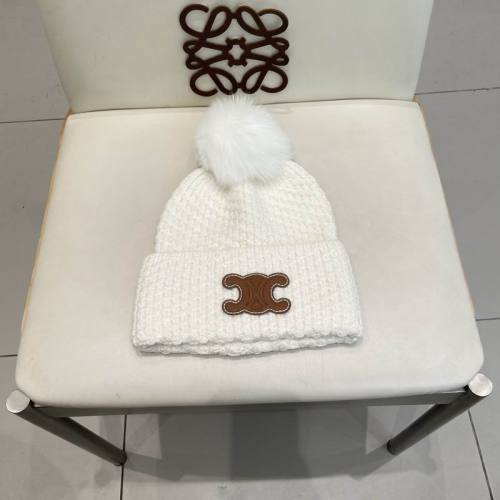 Celine Hats AAA-1508
