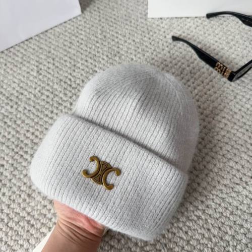 Celine Hats AAA-1724