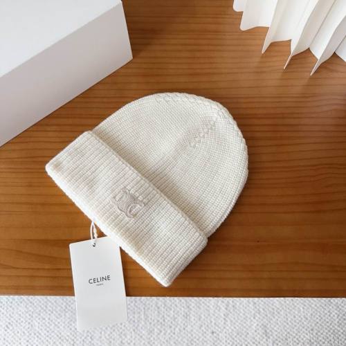 Celine Hats AAA-1510