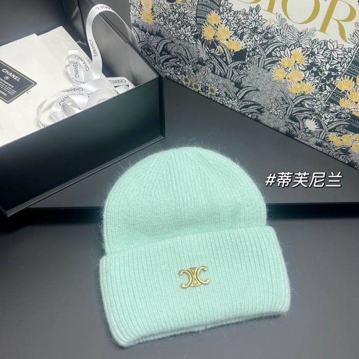 Celine Hats AAA-1609