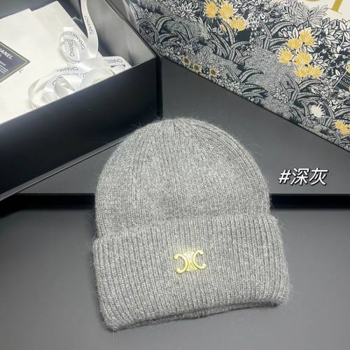 Celine Hats AAA-1623