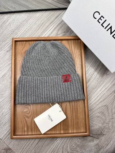 Celine Hats AAA-1553