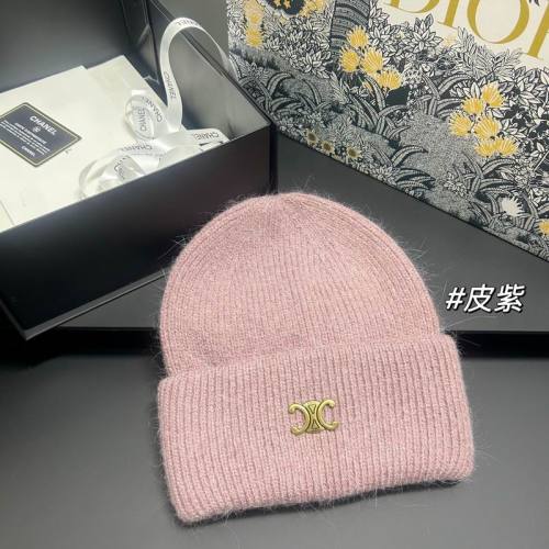 Celine Hats AAA-1617