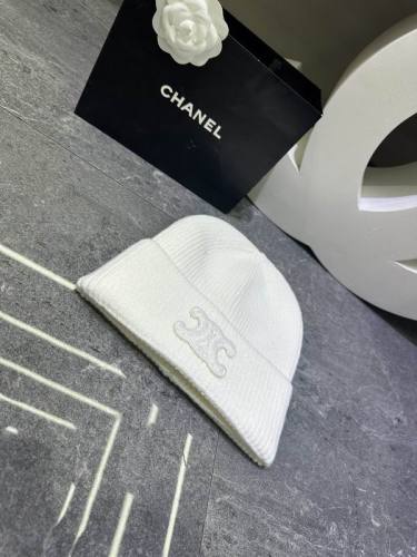 Celine Hats AAA-1606