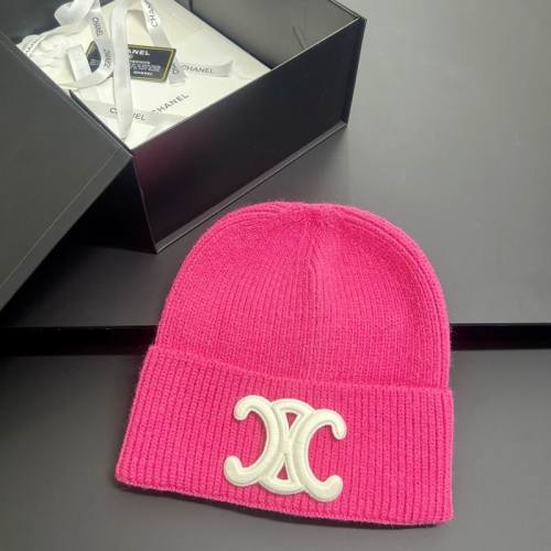 Celine Hats AAA-1541