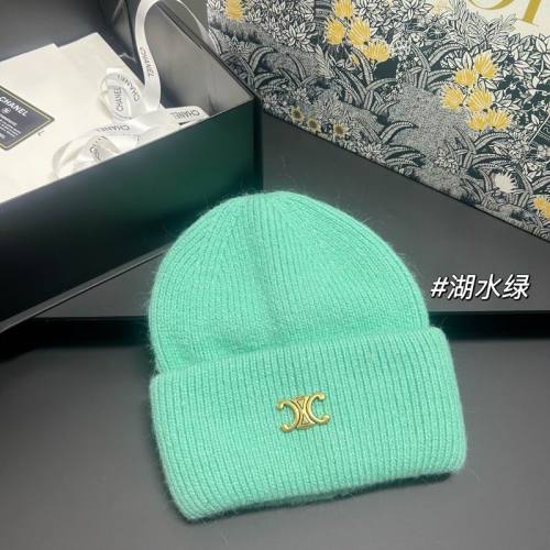 Celine Hats AAA-1613